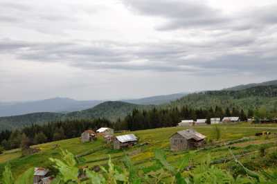 Torkul Yaylası ve Göleti